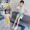 子供服 セットアップ キッズ 女の子 韓国子供服 上下セット 2点セット トップス 半袖 Tシャツ ショートパンツ 可愛い 春夏 通学着 通園着 ホワイトデー