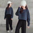 子供服 セットアップ キッズ 2点セット 女の子 長袖 春秋 上下セット トップス パーカー ロングパンツ 子供ジャージ スポーツウェア おしゃれ 可愛い カジ...