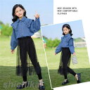 子供服 セットアップ キッズ 2点セット 女の子 長袖 春秋 上下セット トップス シャツ ロングパンツ 子供ジャージ レース おしゃれ 可愛い カジュアル ホ...