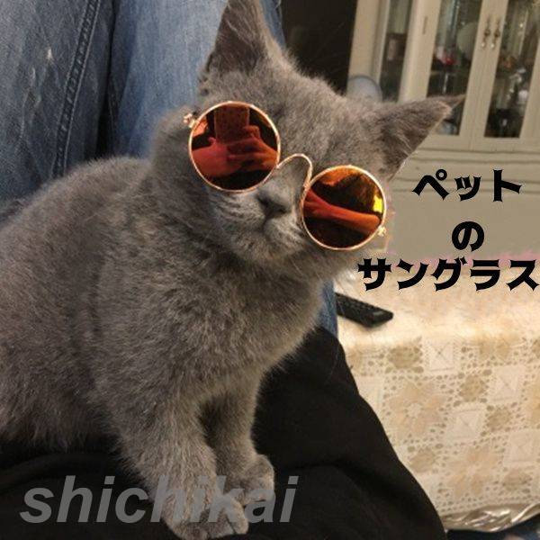 ペット用 サングラス 13colors 2点セット ペット ミニ ミニサングラス 猫 子犬用 猫用  ...