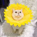 エリザベスカラー ひまわり型首輪 超可愛い 猫用 犬用 傷舐め防止 ヘルスケア 術後ウェア ソフト 柔らかい ネコ イヌ おもちゃ かわいい 向日葵 無地 ペット雑貨 安全素材で作り 安心感 4サイズ選択
