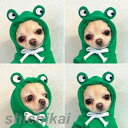 ペット 服 猫 犬 パーカー 可愛い 袖あり 着用簡単 ドッグウェア 犬用 猫用 いぬ ねこ ペット おしゃれ ペット雑貨 おもしろい お祝い プレゼント