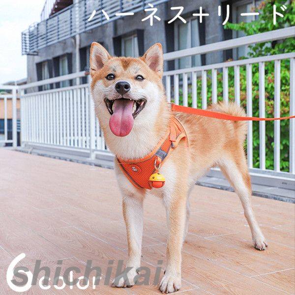 ハーネス リード 首輪 ベル セット 猫 犬 脱出防止 反射素材付き 4点セット 小型犬 中型犬 猫用 犬用 犬具 胴輪 散歩 お出かけ リード付き おしゃれ かわいい ペット用 猫犬兼用 調節可能 ペット ペットグッズ 猫グッズ