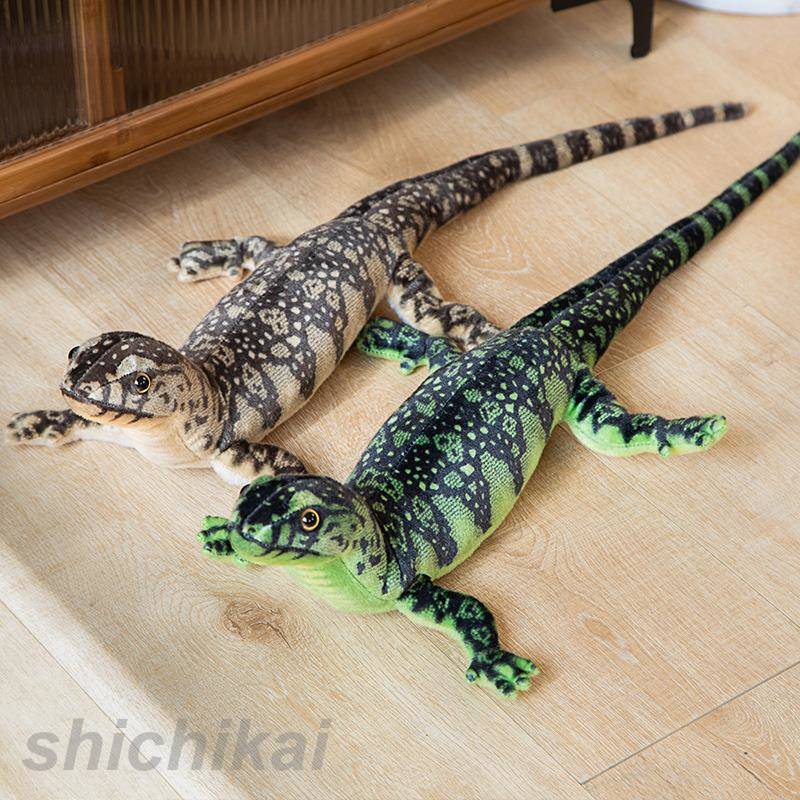 楽天市場】コモドトカゲの通販 楽天市場】コモドトカゲの通販