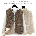 レディース ボア ベスト もこもこ 秋冬 アウター 裏ボア ベスト レディース 秋冬 アウター 秋 冬 トップス ジレ 前開き おしゃれ きれいめ 大人カジュア...
