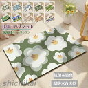 珪藻土バスマット40x60cm~ 60*90cm 大判 サイズ 珪藻土マット 風呂 バスマット 足ふきマット 速乾 珪藻土 キッチンマット 滑り止め 浴室 洗面所 吸水 速乾 抗菌 滑り止め 北欧 脱衣所 吸水マット ソフト