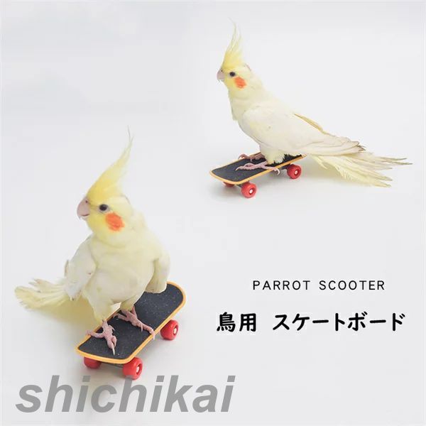 スケートボード 鳥用 2点セット 中型 インコ オウム 鳥用品 ペット 鳥 爪とぎ おもちゃ 立て 知育 玩具 訓練玩具 ストレス解消 運動不足解消 ホワイトデ...