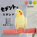 スタンド 鳥用パーチ セメント製 取付け簡単 噛む 爪とぎ オウム インコ 色ランダム 色落ちしない 洗える 長く使える 鳥用品 ペット 鳥 ケージスタンド おもちゃ 鳥ケージ止まり木 ホワイトデー プレゼント