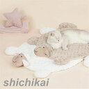 ペットベッド 猫 小型犬 冬 暖かい 羊デザイン 可愛い 洗濯可能 ペット ペットマット 洗える 猫ベッド 犬ベッド ペットグッズ ペット用品 ホワイトデー プ...