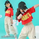 短納期 キッズダンス衣装 ショート丈トップス 半袖 Tシャツ へそ出し キッズ衣装 チアダンス ヒップホップ ジュニア 原宿系 ダンスウェア 男女兼用 個性派 トップス カジュアル ダンス服 個性派 ストリートファッション 男の子 女の子 英文字