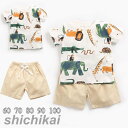 子供服 男の子 半袖 2点セット ベビー服 夏服 シャツ/パンツ キッズ 可愛い柄 保育園 幼稚園 夏 普段着 通園 夏服 薄手 キッズ トップス ショットパンツ キッズ カジュアル 通園 60cm 70cm 80cm