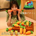 ぬいぐるみ 人参 にんじん ニンジン ペット知育玩具 集中力向上 餌マット 嗅覚活用 抱き枕 クッション かわいい インテリア 子供 おもちゃ おもしろ 贈り物...