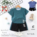 セットアップ 子供服 ジャージ 吸汗速乾 キッズ 韓国子供服 上下セット ズボン 男の子 カジュアル 夏 ワイドパンツ 半袖 薄手 パンツ ゆったり 2点セット...