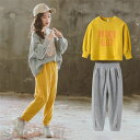 ジャージ 子供服 セットアップ パーカー キッズ 女子 上下セット 長袖 春秋 2点セット パーカーロングパンツ 登山着 スポーツウェア 可愛いおしゃれ 女の子...