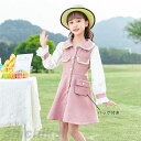 ワンピース 子供服 長袖 女の子 キッズ バッグ付き ドレス 膝丈ワンピース ミディ丈 シフォン 通学 レースワンピース フォーマル 可愛い 入園式 お呼ばれ 発表会 結婚式 演奏会 こどもの日 110 120 130