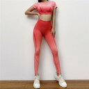 スポーツウェア上下セット 超伸縮 スポーツウェア レディース ヨガウェア ジムウェア 上下セット ランニングウェア ウォーキング トレーニングウェア バレンタイ...