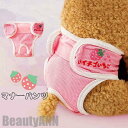 新生活 犬用 サニタリーパンツ マナーパンツ 2点セット 4color 生理用 マナーウェア 避妊 介護 しつけ用品 おむつカバー 下着 ケア用品 犬用術後ウェ...