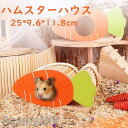 新生活 ハムスター ハウス お家 人参デザイン 寝床 隠れ家 木製 デグー リス インスタ映え 小屋 かわいい ウッド 木製 遊べる 遊び場 小動物 ハムスターのお家 ペット・ペットグッズ 小動物用品 写真撮影 映え ペット用品 プレゼント(4)