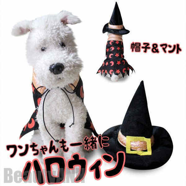  ϥ ץ ڥå  ǭ  Halloween 2å ޥ ϥå ˹դ İ Ѵñ  ǭ ...