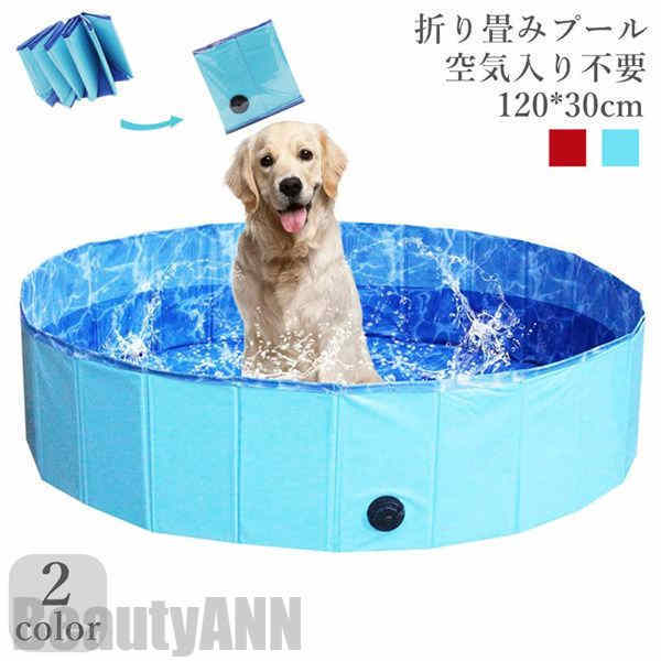  ס ڥå ӥˡס Ҷס  120cm*30cm ޤ ڥåѥХå Ҷ ס ...