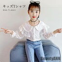 新生活 長袖ブラウス 子供服 長袖Tシャツ レースブラウス 総レース 女の子 キッズ 春物 華やか おしゃれ 可愛い 女児 キレイめ プルオーバー 春 秋 春新作 秋 春 冬 秋ファッション 冬物 春物 秋物 プレゼント ギフト