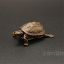 銅製置物 亀 カメ 頭尾可動 銅製 金工品 美術品 茶道具 置物 インテリア置物
