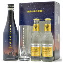 初回限定ボックス 秋田県 山本酒造店 クラフトジン ナイトトラベラー 45度 500m