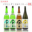お中元 送料無料 日本酒 秋田県 秋田清酒 純米大吟醸入り ...