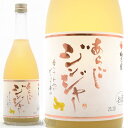 梅乃宿酒造　あらごしジンジャー　720ml　和リキュール　奈良県葛城市