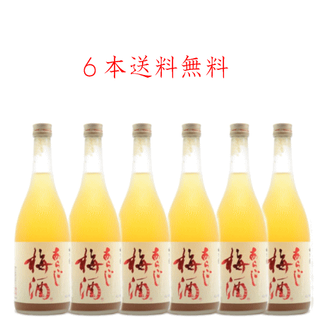 送料無料　奈良県　梅乃宿酒造　あらごし梅酒　720ml×6本