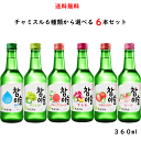JINRO チャミスル 6種類から選べる 6本セット 飲み比べ 眞露株式会社 送料無料