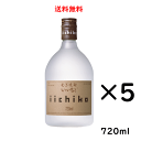 本格麦焼酎 いいちこ