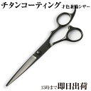 日本の鋏専門メーカー 理美容師専用 / 【PF】DEEDS GTZ ブラック チタン シザー (6.0インチ) / 美容師 理容 理容師 はさみ シザー ヘアカ...