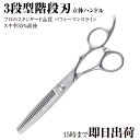 日本の鋏専門メーカー 理美容師専用 /【PF】DEEDS GTZ630CCT 3段セニング (6.0インチ・スキ率35%前後)/ 美容師 理容 理容師 セニングシザー