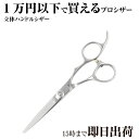 日本の鋏専門メーカー 理美容師専用 /【BA】XXA シザー (5.5インチ) / 美容師 理容 理容師 散髪 はさみ シザー 基本 ベーシック スタート スタ...
