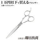 日本の鋏専門メーカー 理美容師専用 /【BA】XXA シザー (6.0インチ) / 美容師 理容 理容師 散髪 はさみ シザー 基本 ベーシック スタート スタ...