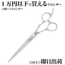 日本の鋏専門メーカー 理美容師専用 / 【BA】XXA シザー (7.0インチ)/ 美容師 理容 理容師 散髪 はさみ シザー 基本 ベーシック スタート スタ...