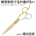 日本の鋏専門メーカー / 美容師専用 【PF】DEEDS GTZ ソードシザー ゴールドチタン × シルバー バイカラー (6.0インチ) / 美容師 理容 理容師 シザー ヘアカット