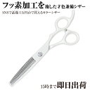 日本の鋏専門メーカー 理美容師専用 /【PF】DEEDS GTZ ホワイト セニング (6.0インチ・スキ率10~15%前後) /美容師 理容 理容師 セニングシザー