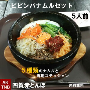 【 送料無料 】ナムル 5種類800gと ビビンバコチュジャン、4〜5人分 石焼き ビビンバの素 ◆北海道、九州、沖縄は別途600円◆ 韓国料理 セット 韓国食品 食材 総菜【冷凍、冷蔵可】冷凍食品 ギフト お取り寄せ グルメ お歳暮 お中元 プレゼント 簡単 通販 母の日 無添加