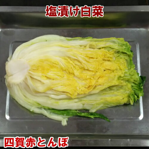 塩漬け白菜　500g【冷蔵のみ】手作りのダシにこだわり化学調味料無添加　韓国料理 韓国食品 ギフト お取り寄せ グルメ 内祝い プレゼント お中元 暑中見舞い