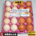 【10%4/27】【冷蔵便】鶏卵LLサイズ20個パック 2L たまご 会田共同養鶏組合 ギフト お取り寄せ グルメ プレゼント、クール冷蔵便でお届けします