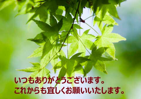 楽天韓国料理の四賀赤とんぼ【父の日贈り物】ありがとうカード　新緑 ギフト お取り寄せ グルメ 内祝い プレゼント