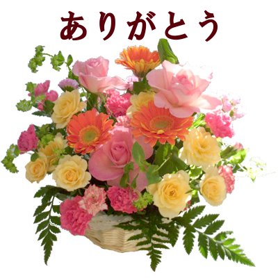 【母の日】ありがとうカード　花束 ギフト お取り寄せ グルメ 内祝い プレゼント