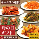 【10%クーポン/マラソン】【母の日】【送料無料】3種選択できる 無添加 キムチ福袋 白菜キムチ きゅうり ネギ ニラ カクテキ ピリ辛スルメ 大根 オイソバギ...