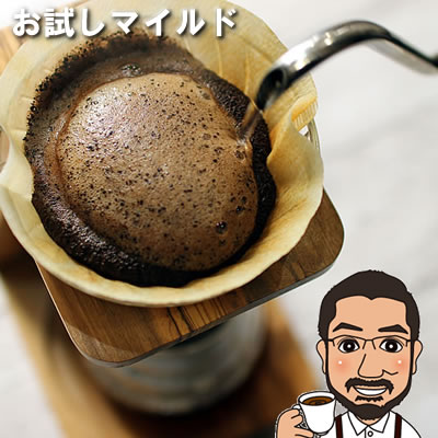 コーヒー豆 贅沢マイルドコーヒーお試しブラジル・マイルド200g 15杯分ブラジル・サンタアリーナ農園イエローカツアイ種ナチュラル 送料無料 | メール便 送料無料 コーヒー豆 お試し コーヒー豆 おすすめ ブラジルコーヒー 豆 コーヒー豆　ブラジル　シングルオリジン