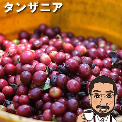 コーヒー豆　タンザニア・イドゥンダ1kg（200g×5袋） 送料無料 1kg | 佐川急便 送料無料　送料無料 コーヒー コーヒー豆 お試し コーヒー豆 おすすめ コーヒー豆 レギュラーコーヒー キリマンジャロ　コーヒー豆　タンザニア　シングルオリジン