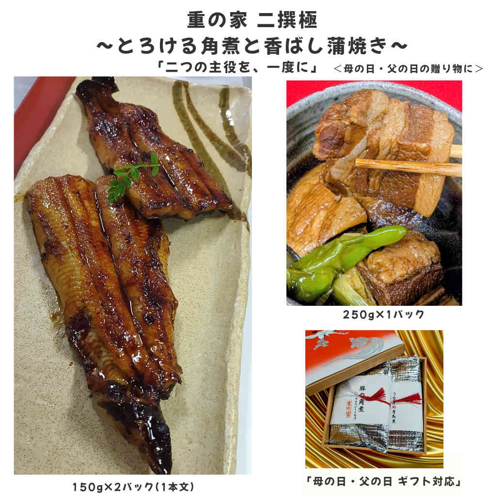 Rakuten - 【母の日 父の日 ギフト】うなぎ蒲焼き 豚角煮 セット 二撰極 送料無料 高級 和食 お取り寄せグルメ 冷凍 贈答用 内祝い お祝い 国産 プレゼント 鰻 角煮 ギフトセット