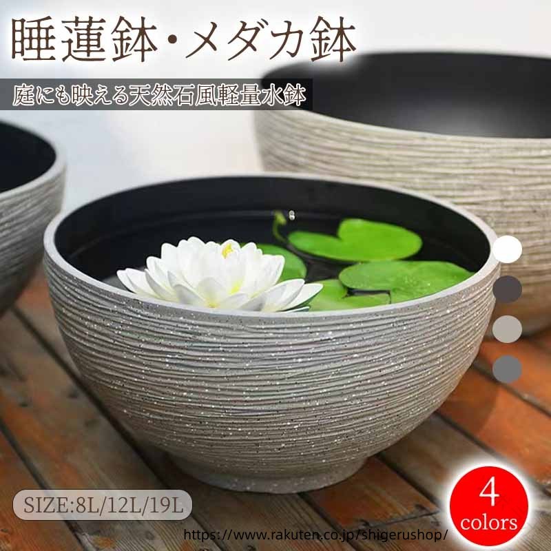 楽天市場】睡蓮鉢 45の通販