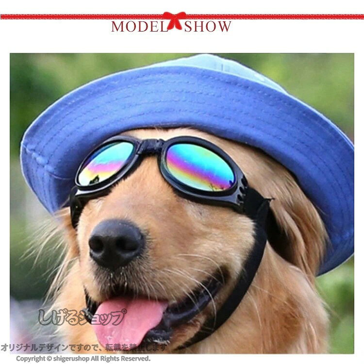 しげるショップのペット用サングラス ペット用ゴーグル 犬 調節可能 UV保護 防風 防塵 メガネ めがね 眼鏡 アクセサリー 小型犬 中型犬 紫外線対策 全6色 散歩 ペット用品 サングラス ゴーグル UVカット 紫｜アングル3